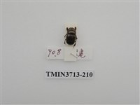 藏品(金龜子科)的圖片